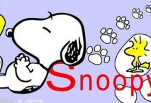 可爱的狗狗动画片-史努比英文版 Snoopy 带中文字幕 全104集 高清720P下载-颜夕夕萌物馆_儿童早教一站就够了
