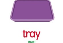 800张各分类英语单词闪卡(学校、交通工具、果蔬等),可打印-颜夕夕萌物馆_儿童早教一站就够了