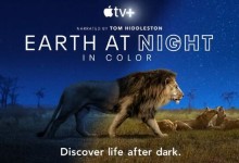 纪录片:夜色中的地球 Earth at Night in Color (2020) 全6集中英字幕 超清1080P-颜夕夕萌物馆_儿童早教一站就够了