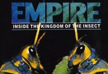 动物世界亲子纪录片:昆虫帝国 全6集下载 【国语中字】-颜夕夕萌物馆_儿童早教一站就够了