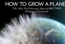 适合亲子共看的bbc纪录片： 植物之歌 全3集 英语中英字幕 高清下载-颜夕夕萌物馆_儿童早教一站就够了