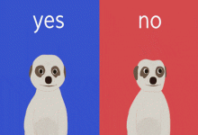 建议家长听的音频课:孩子英语启蒙方法课 40讲-颜夕夕萌物馆_儿童早教一站就够了