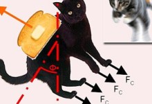 黄油猫悖论:一只旋转不停的喵,根本停不起来-颜夕夕萌物馆_儿童早教一站就够了