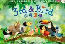 BBC原版动画《小鸟3号》3rd and bird 中英文版全集,宝宝早教儿童教育学习动画片-颜夕夕萌物馆_儿童早教一站就够了