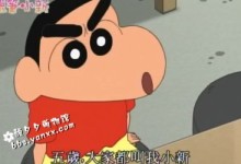 《蜡笔小新》国语版 大合集 共1600多集 115网盘下载,值得收藏-颜夕夕萌物馆_儿童早教一站就够了