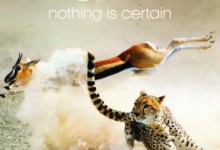 【英语】bbc动物世界纪录片:猎捕 The Hunt (2015)  全7集 超清1080P-颜夕夕萌物馆_儿童早教一站就够了