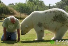 【英语中英字幕】超赞bbc动物世界纪录片-动物一家亲(奇特的动物伙伴)Animal Odd Couples (2013) 全2集 高清720P下载-颜夕夕萌物馆_儿童早教一站就够了