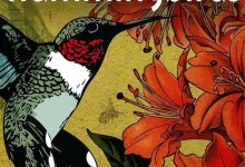 【英语中英字幕】世界上最小的鸟纪录片-蜂鸟：宝石般的信使 Hummingbirds Jewelled Messengers (2012)高清720P下载-颜夕夕萌物馆_儿童早教一站就够了