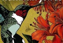【英语中英字幕】世界上最小的鸟纪录片-蜂鸟:宝石般的信使 Hummingbirds Jewelled Messengers (2012)高清720P下载-颜夕夕萌物馆_儿童早教一站就够了