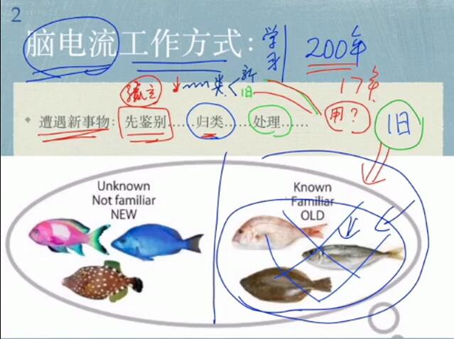 家长课——孙路弘：如何学习数学，语文，英语一切学科的底层方法论 视频课 28集图片 No.2