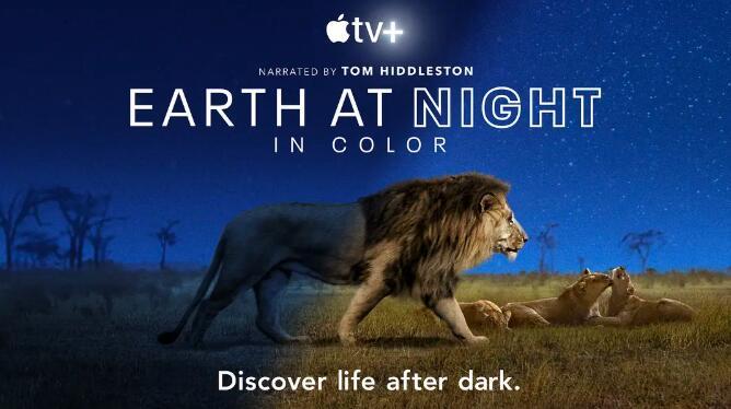 纪录片：夜色中的地球 Earth at Night in Color (2020) 全6集中英字幕 超清1080P图片 No.1
