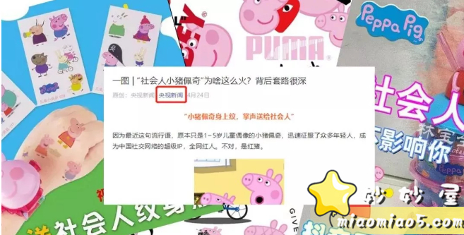全球热播动画《Peppa Pig粉红猪小妹》（小猪佩奇）主题绘本合集书目整理图片 No.1