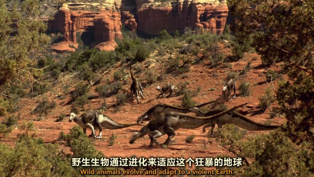 【英语中英字幕】动物世界纪录片：恐龙探秘 Dinosaur Secrets Revealed (2002) 全12集 超清720P下载图片 No.1