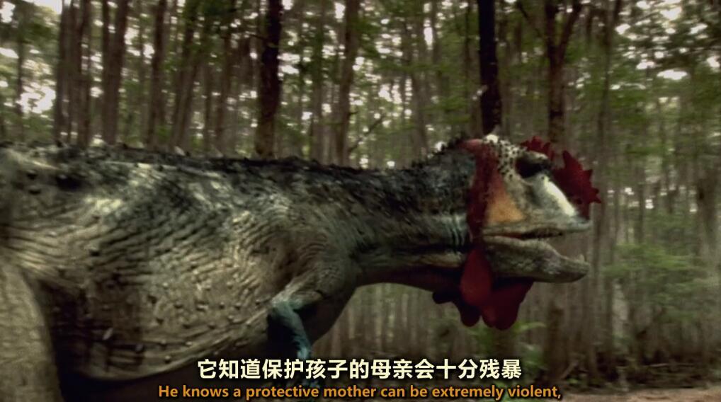 【英语中英字幕】动物世界纪录片：恐龙探秘 Dinosaur Secrets Revealed (2002) 全12集 超清720P下载图片 No.3