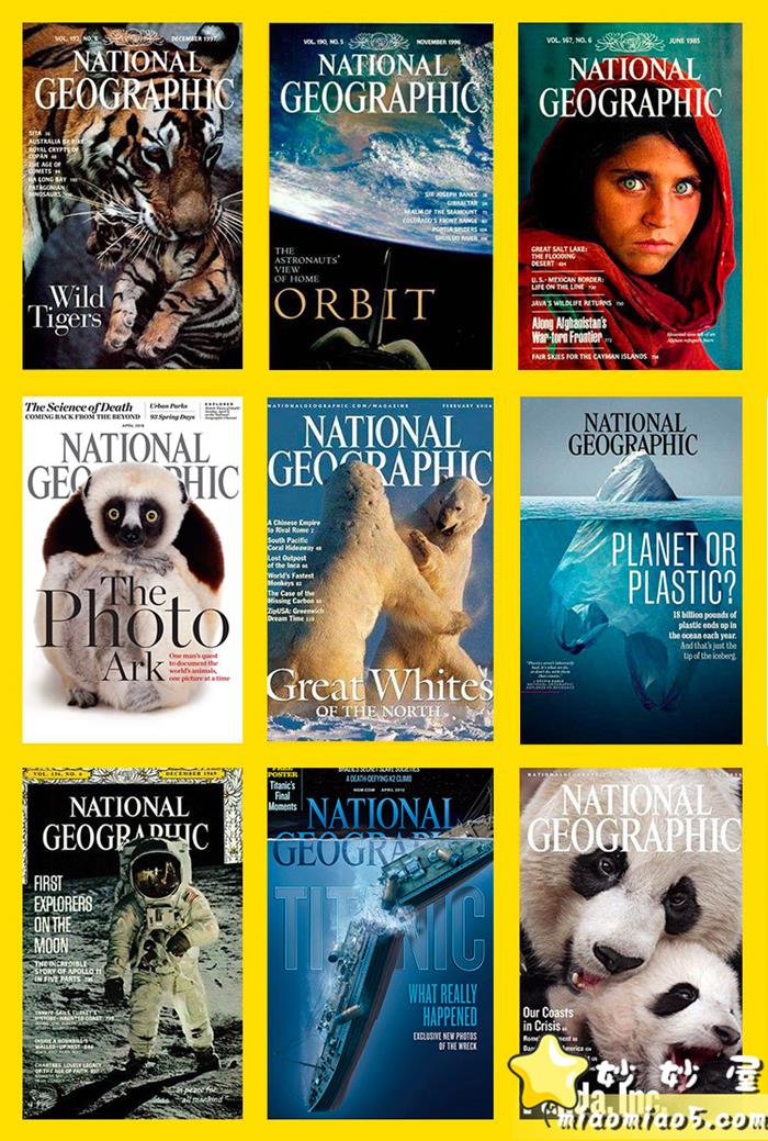 美国国家地理出品，动物世界科普视频：小探险家，14个视频图片 No.1